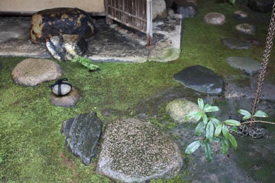 冬の露地(茶庭)_b0199526_12372118.jpg