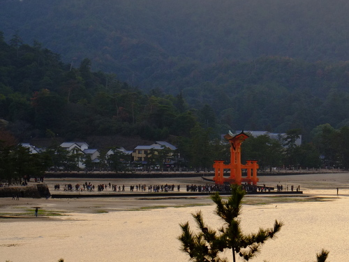 「広島・宮島 蔵宿いろは」_a0000029_20112944.jpg