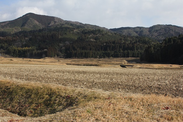 d0237331_10512737.jpg