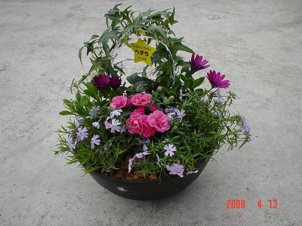 a0158236_19575729.jpg