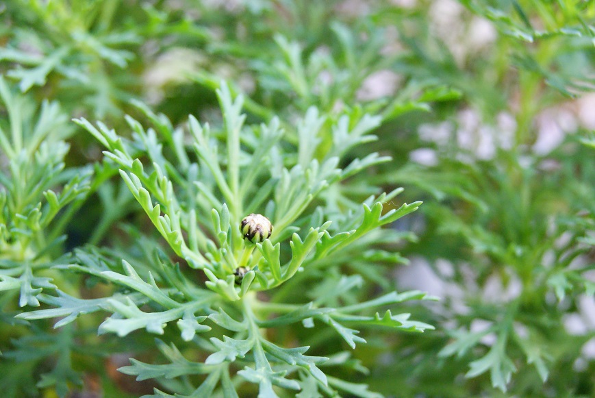 c0298740_23532340.jpg