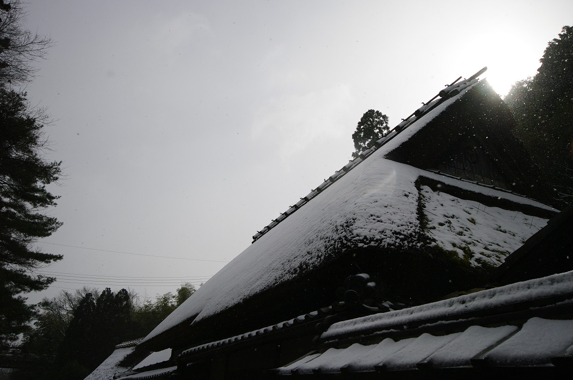 雪の鳥居本..._f0152550_23195623.jpg