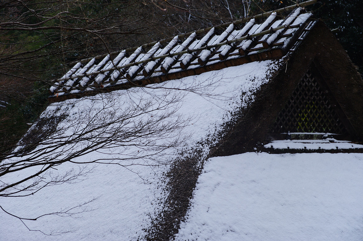 雪の鳥居本..._f0152550_2324373.jpg