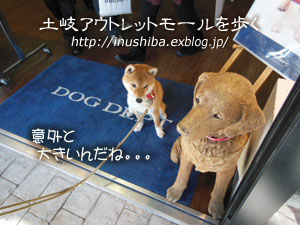柴犬とプレミアムアウトレットを歩く 岐阜県 土岐 Yamatoのひとりごと