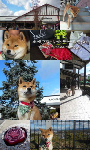柴犬とプレミアムアウトレットを歩く 岐阜県 土岐 Yamatoのひとりごと