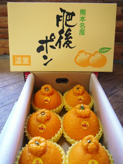 究極の柑橘「せとか」 2014年2月18日!初回出荷日決定!!_a0254656_17532318.jpg