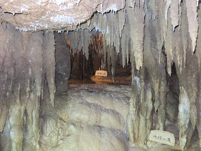 e0088260_22545091.jpg