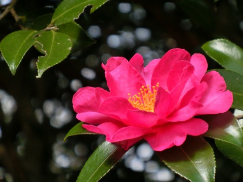 e0045768_22123254.jpg