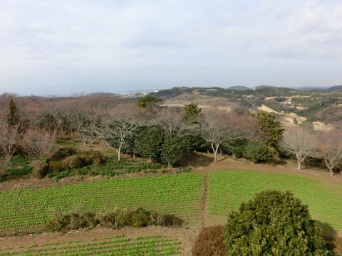 e0045768_22173269.jpg