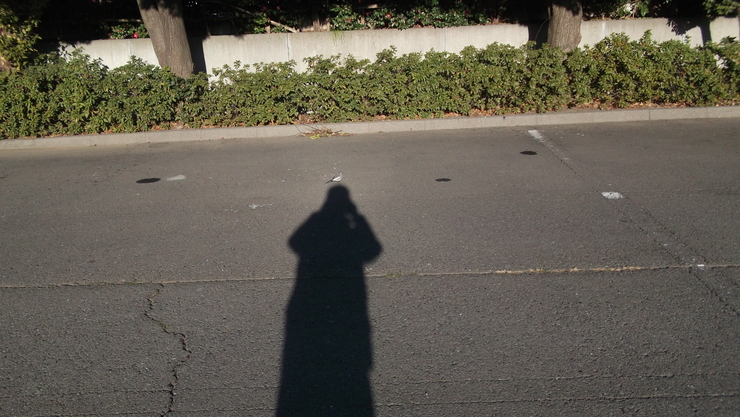 c0212083_2322436.jpg