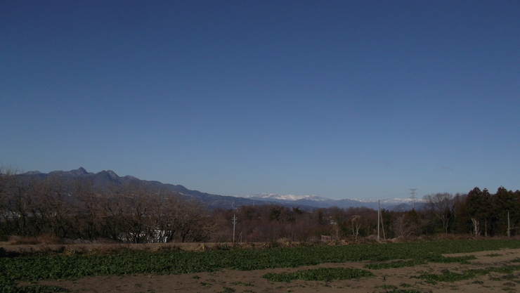 c0212083_23481981.jpg