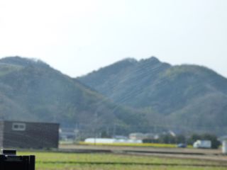 2014年1月27日 週末がとくに忙しいの_b0098584_840191.jpg