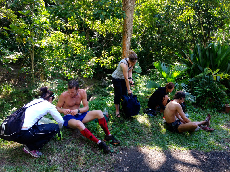 2014/01/18-19 Mountain Running Trip in Oahu of Hawaii Day.2-3 HURT2014-Makiki Trail_b0220886_22485137.jpg