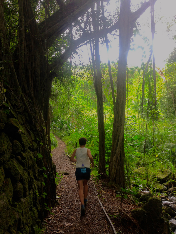 2014/01/18-19 Mountain Running Trip in Oahu of Hawaii Day.2-3 HURT2014-Makiki Trail_b0220886_23291637.jpg