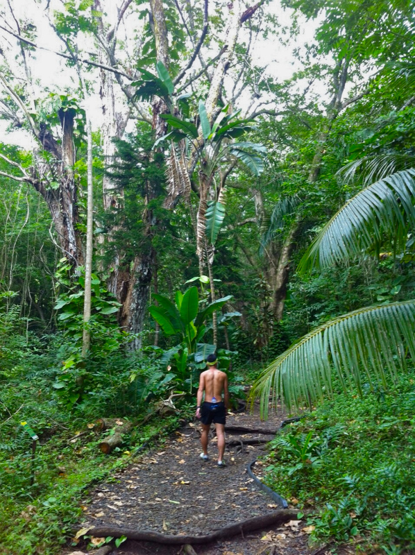 2014/01/18-19 Mountain Running Trip in Oahu of Hawaii Day.2-3 HURT2014-Makiki Trail_b0220886_23304881.jpg