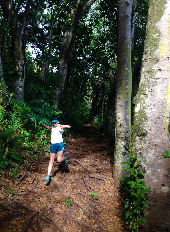 2014/01/18-19 Mountain Running Trip in Oahu of Hawaii Day.2-3 HURT2014-Makiki Trail_b0220886_2330976.jpg