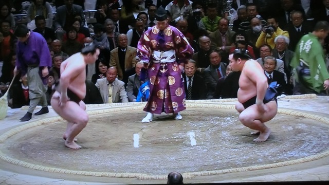 輝く白鵬関28回目の初場所優勝、白鵬・鶴竜の熱戦に感動鶴竜関来場所超期待、遠藤関・大砂嵐初場所大健闘_d0181492_8134075.jpg