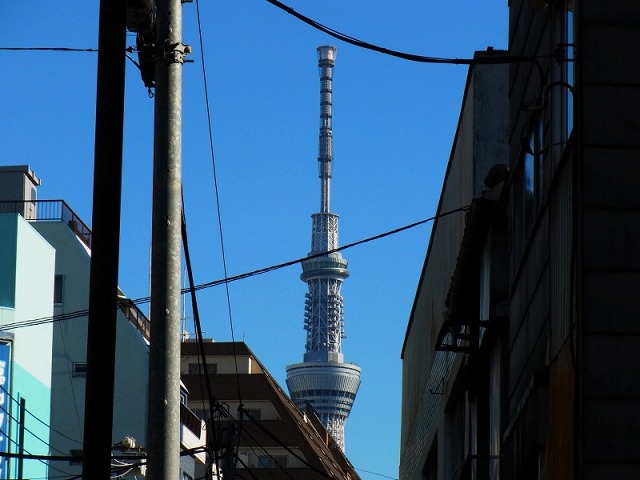 e0196993_194947.jpg