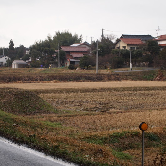 かんべの里での出会い_a0292194_1538943.jpg