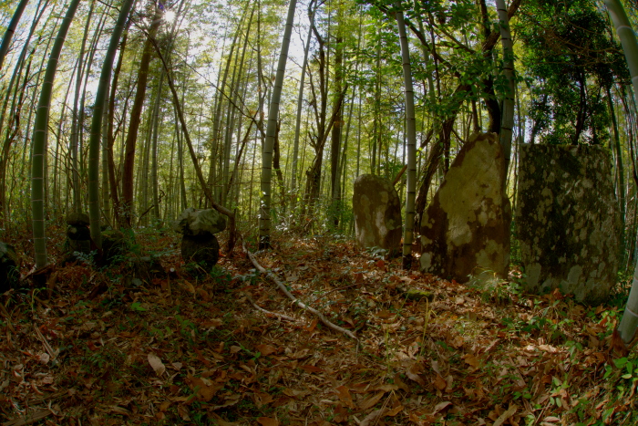 尾峰山福田廃寺跡_e0135098_21145792.jpg