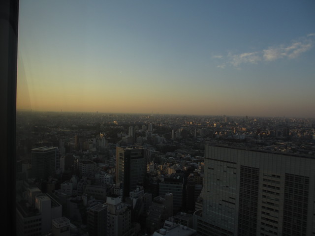セルリアンタワー東急ホテル(お部屋)_c0212604_7115593.jpg