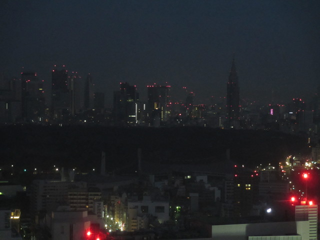 セルリアンタワー東急ホテル(お部屋)_c0212604_712369.jpg