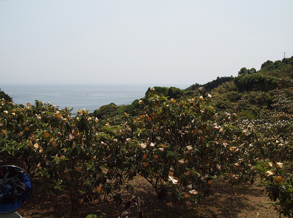 西九州・島街道を行く２９（長崎半島～島原）_f0180607_9211029.jpg