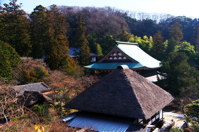 北鎌倉　早春の円覚寺1_a0263109_117364.jpg