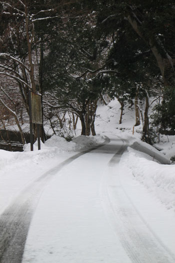 安曇川上流葛川 14雪けしき10_e0048413_14402860.jpg