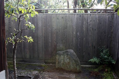 冬の裏庭_b0199526_1413178.jpg
