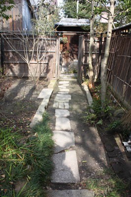 冬の裏庭_b0199526_14165625.jpg