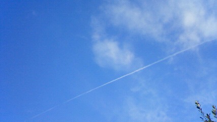 b0279129_172938100.jpg