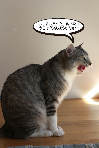 食後は解散!_e0151545_22344657.jpg