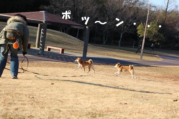 f0245650_8175077.jpg