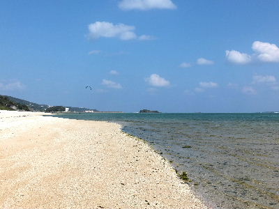 e0088260_21432891.jpg