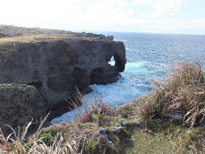 e0088260_21513836.jpg