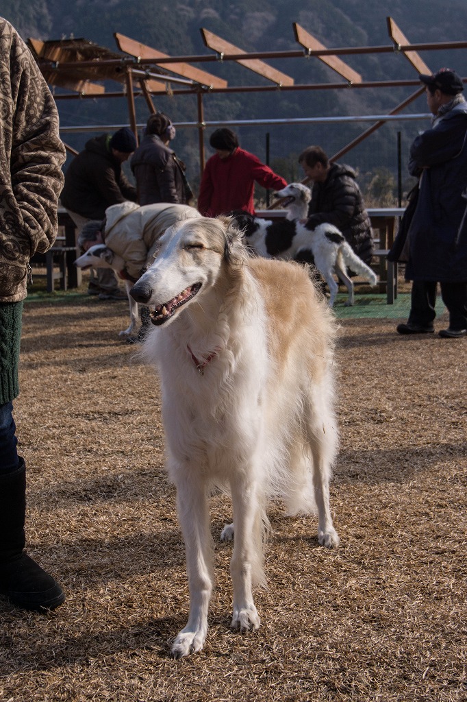 陽だまりオフ会　その３_c0260264_2112343.jpg