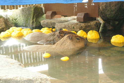 年末の小旅行②_b0278066_0244814.jpg