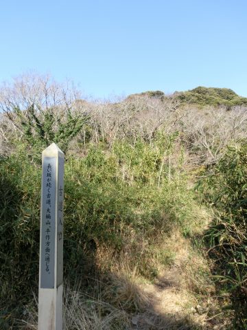 e0045768_22165640.jpg