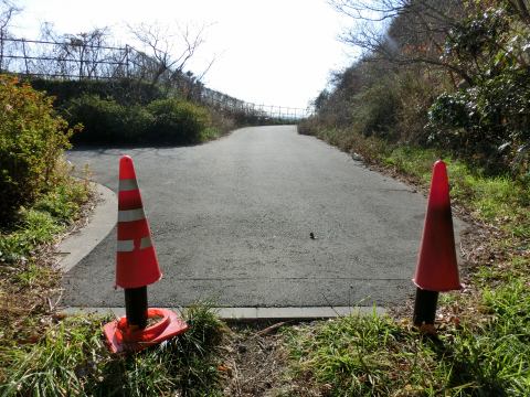 e0045768_22172773.jpg