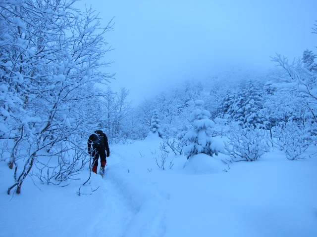 f0202271_08395.jpg
