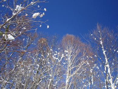 漆洞山　　モフモフお手軽スノーハイク_f0302771_15351637.jpg