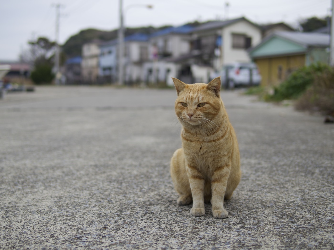 時の長さが教えるふしぎ_f0011273_1750322.jpg