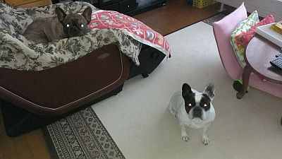 b0056476_12223112.jpg