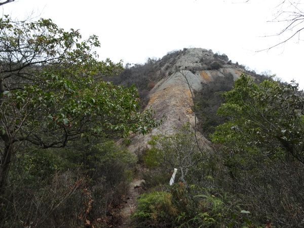 c0066176_07668.jpg