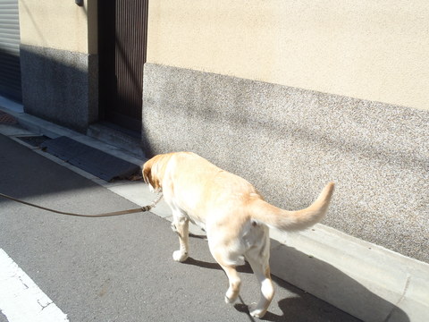 f0052277_0592092.jpg