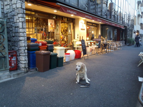 f0052277_161459.jpg