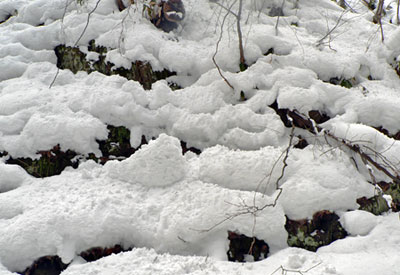 f0083977_17414085.jpg