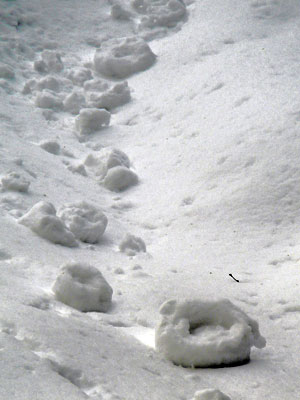 f0083977_17422627.jpg