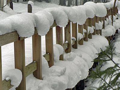 f0083977_174233.jpg